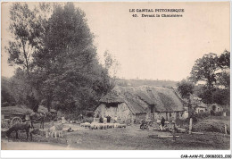 CAR-AAWP2-15-0094 - LE CANTAL PITTORESQUE - Devant La Chaumière - Otros & Sin Clasificación