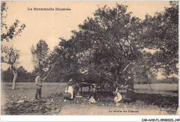 CAR-AAWP1-14-0073 - LA NORMANDIE ILLUSTREE - Recolte Des Pommes - Autres & Non Classés