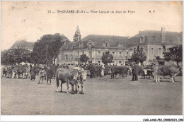 CAR-AAWP10-79-0800 - THOUARS - Place Lavault Un Jour De Foire - Thouars