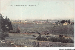 CAR-AAWP9-71-0700 - SENNECEY-LE-GRAND - Vue Générale - Chalon Sur Saone