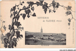 CAR-AAWP9-69-0664 - SOUVENIR DE FLEURIE - Vue Générale - Sonstige & Ohne Zuordnung