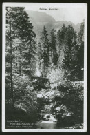 15051 - SUISSE -  CHAMPERY - Pont Des Moulins Et Chemin Pour Bonaveau - Champéry