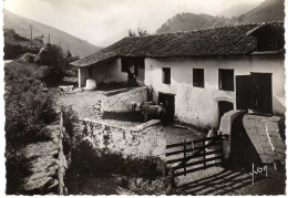 64 - Type De Ferme Basque - Autres & Non Classés