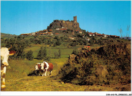 CAR-AAX-P6-43-0469 - POLIGNAC - Le Chateau - Construit Sur Une Table De Basalte - Domine La Plaine - Du Haut Du Donjon  - Other & Unclassified