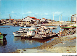 CAR-AAX-P5-33-0370 - GUJAN-MAESTRAS - Pinasses Et Bateaux De Peche Au Port - Gujan-Mestras