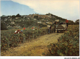 CAR-AAX-P3-18-0189 - SANCERRE - Les Vendanges - Sancerre