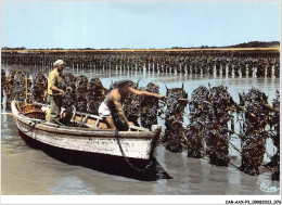 CAR-AAX-P3-17-0175 - La Mytiliculture En CHARENTE-MARITIME - Bouchots A Moules - Sonstige & Ohne Zuordnung