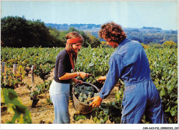 CAR-AAX-P12-79-0934 - AGRICULTURE - VENDANGES - Sonstige & Ohne Zuordnung