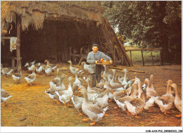 CAR-AAX-P12-79-0937 - AGRICULTURE - Le Gardeur D'oies Et Son Troupeau - Sonstige & Ohne Zuordnung