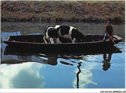 CAR-AAX-P12-79-0928 - Dans La Venise Verte - Les Animaux - Comme Le Fourrage Et Les Cultures Sont Transportés Par Barque - Altri & Non Classificati