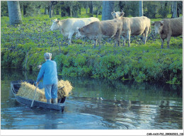 CAR-AAX-P12-79-0927 - LE MARAIS POITEVIN - Ravitallement Des Animaux En Barque - Sonstige & Ohne Zuordnung