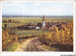 CAR-AAX-P11-68-0815 - AMMERSCHWHIR - AMMERSCHWEIER - Blick Auf Die Rheinebene - Sonstige & Ohne Zuordnung