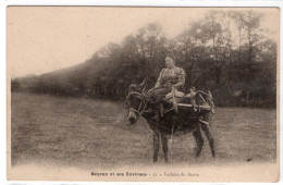 CPA  BAYEUX Et Ses Environs Vachère Du Bessin - Other & Unclassified