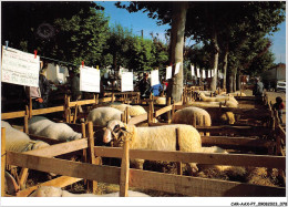 CAR-AAX-P7-46-0514 - GRAMAT - Le Foirail Aux Moutons - Agriculture - Gramat
