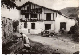 64 - Type De Ferme Basque - Autres & Non Classés