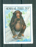 REPUBLIQUE DU SENEGAL - N°1196 Sans Gomme Non Dentelé - Faune. Primates Du Sénégal. - Apen