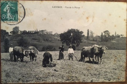 Cpa 24 Dordogne, LA FORCE, Vue De La Plaine, Scène Agricole, Labourage, Avec Attelages Rustiques, Boeufs, Paysans - Autres & Non Classés