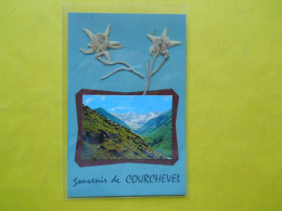 Courchevel ,souvenir , Edelweiss - Courchevel