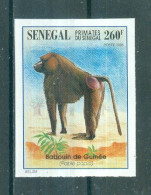 REPUBLIQUE DU SENEGAL - N°1197 Sans Gomme Non Dentelé - Faune. Primates Du Sénégal. - Apen