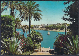 ASWAN - ASSOUAN - View Of The Nile - Assuan