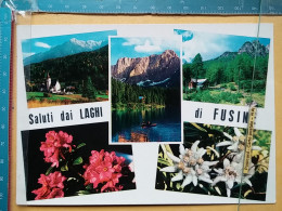 KOV 421-60 - ITALIA, ITALY, LAGHI DI FUSINE, FLOWER EDELLWEIS - Other & Unclassified