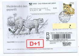 Czech Republic 2020  - Cheetahs International Day, Special Cover, Spec. Reg. Label, Peronalised Stamp, Apost - Félins