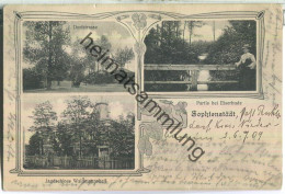 Sophienstädt Bei Eiserbude - Dorfstrasse - Jagdschloss - Partie Bei Eiserbude - Verlag A. Walter Biesenthal - Sonstige & Ohne Zuordnung