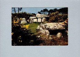 Près De Carnac (56) : Les Dolmens De Mané Kérioned - Dolmen & Menhire