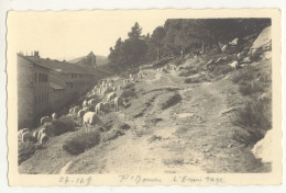 66/CPA A - Font Romeu - Belle Carte Photo (Glaser) - Other & Unclassified