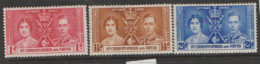 St Christopher Nevis And Anguilla   1937  65-7  Coronation Mounted Mint - San Cristóbal Y Nieves - Anguilla (...-1980)