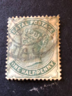 NATAL  SG 97a  ½d Dull Green  FU - Natal (1857-1909)