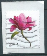 VERINIGTE STAATEN ETAS UNIS USA 2007 BEAUTIFUL BLOOMS: MAGNOLIA 41¢ USED ON PAPER  SC 4178 YT 3969A MI 4292 SG 4770 - Oblitérés