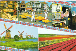 SCENES FROM HOLLAND. UNUSED POSTCARD My4 - Other & Unclassified