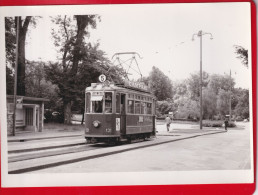 Photo  Cliché Bazin Format CPSM ( 10,5 Cm X 14,5 Cm ) SUISSE GENEVE Tramway  B.I.T 1956 Pub Campari - Otros & Sin Clasificación