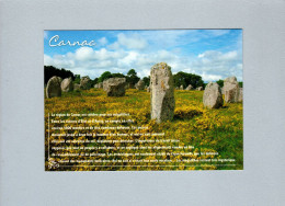 Carnac (56) : Les Alignements De Menhirs - Dolmen & Menhire