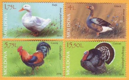 2018 Moldova Moldavie Poultry In Moldova. Birds. Turkey. Duck. Goose. Cock. 4v Mint - Farm