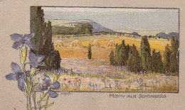 AK Motiv Aus Schönberg - Saale-Holzland-Kreis - Nieme Künstlerkarte - Ca. 1910 (69251) - Sonstige & Ohne Zuordnung