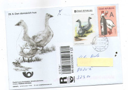 Czech Republic - Day Of Domestic Gooses,  Special Cover, Personalised Stamp, Registered Used - Boerderij