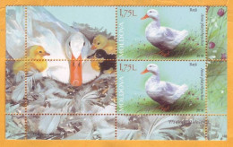 2018 Moldova Moldavie Fauna Poultry In Moldova. Birds Duck,   2v Mint - Hoftiere