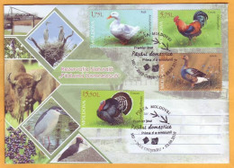 2018 Moldova Moldavie  FDC Poultry In Moldova. Birds. Turkey. Duck. Goose. Cock. - Granjas