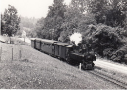 Tr. To Molln Between Grünburg And Molln. Photo, No Postcard. 14 X 10 Cm. * - Altri & Non Classificati