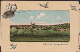 Gruss Aus Herzogenbuchsee ⵙ  FELDPOST 19.Xl.24, - Herzogenbuchsee