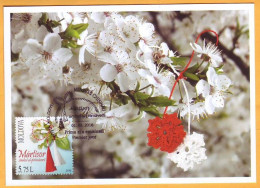 2016 Moldova Moldavie MAXICARD National Holiday Of Spring. Martisor. Snowdrop - Moldavie