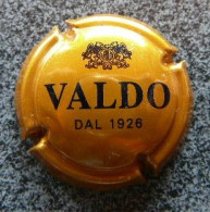 (ds-084) Capsule  Valdo - Schuimwijn