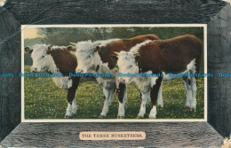 R060601 The Three Musketeers. Cows - World