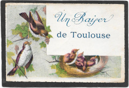 31 - TOULOUSE - Un Baiser - Oiseaux Et Nid - Toulouse