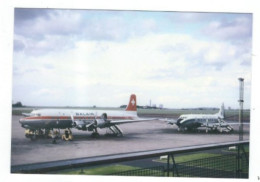 POSTCARD   PUBL BY FLIGHTPATH  LTD EDITITION OF 300  BALAIR DC 6 AIRCRAFT NO FP 50 - 1946-....: Modern Tijdperk