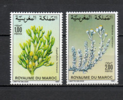 MAROC N°  1031 + 1032    NEUFS SANS CHARNIERE  COTE 2.50€    FLEUR FLORE - Maroc (1956-...)