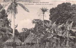 Afrique Occidentale Palmeraie Cueillette Du Vin De Palm (scan Recto Verso)NONO0006 - Senegal