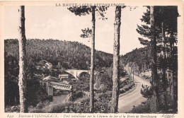 Haute Loire Environs D YSSINGEAUX Pont Metalique Sur Le Chemin De Fer (SCAN RECTO-VERSO)NONO0057 - Yssingeaux